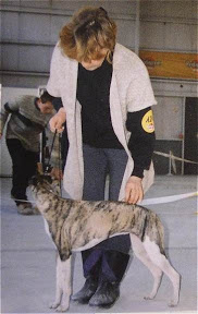 abba01.jpg